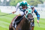 Esprit De Bullet Ready For Black Caviar Lightning Stakes Esprit De Bullet Ready For Black Caviar Lightning Stakes