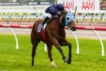 Salute To Jude Will Need Luck In Magic Millions Guineas
