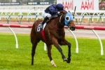 Salute To Jude Will Need Luck In Magic Millions Guineas Salute To Jude Will Need Luck In Magic Millions Guineas