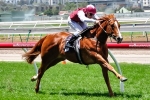 Snowden Confident Safeguard Has Group 1 Class Snowden Confident Safeguard Has Group 1 Class