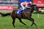 Cuanzo Scratched From WA Guineas