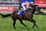 Belle Couture To Make Debut At Bendigo On Sunday Belle Couture To Make Debut At Bendigo On Sunday