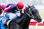 Gamblin’ Guru to head to the Australian Derby