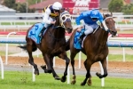 Melbourne Cup penalty for Ibicecno