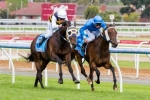 Melbourne Cup still alive for Ibicenco after Geelong Cup win
