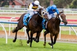 Ibicenco to head to the Metropolitan after the Naturalism Stakes Ibicenco to head to the Metropolitan after the Naturalism Stakes