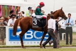 Waller Pleased with Brigantin Ahead of Sydney Cup Waller Pleased with Brigantin Ahead of Sydney Cup