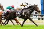 Melbourne Cup 2014: Gatewood In Good Form
