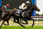 Gatewood A Confirmed Melbourne Cup Runner Gatewood A Confirmed Melbourne Cup Runner