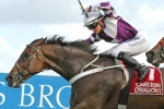 Gundy Son To Have Final Race Start In Magic Millions Cup Gundy Son To Have Final Race Start In Magic Millions Cup
