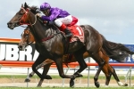 Magic Millions Trophy Tune Up for Jumbo Prince