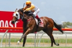 Hansen Thrilled To Have Le Chef In 2015 Magic Millions Classic Field Hansen Thrilled To Have Le Chef In 2015 Magic Millions Classic Field