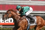 Capitalist still on track for Golden Slipper