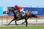 Autumn Beckons For Magic Millions F & M Handicap Winner I Am Zelady Autumn Beckons For Magic Millions F & M Handicap Winner I Am Zelady