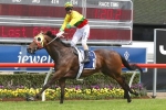 Standish Handicap Option for Lucky Hussler Standish Handicap Option for Lucky Hussler