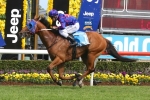 Australian Guineas hopefuls Mahuta and Palentino to gallop together