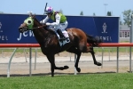 Callow Gets War Jet Home In Magic Millions Country Cup Callow Gets War Jet Home In Magic Millions Country Cup