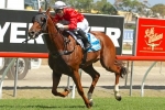 Deiheros to return to tackle Stradbroke Handicap