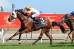 Magic Millions winner Luke Tarrant out for month for whip infringements Magic Millions winner Luke Tarrant out for month for whip infringements