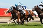 Straturbo Emerges Victorious in Magic Millions Open Sprint