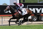Tinto Wins Magic Millions Stayers Cup Despite Top Weight
