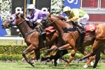 Driefontein To Magic Millions Fillies And Mares Handicap