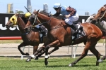 Berry Wins Second Straight Magic Millions Stayers Cup