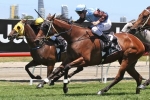 Ipswich Cup the race for Noisy Ocean Ipswich Cup the race for Noisy Ocean