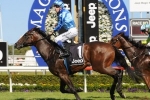 Vienna Royale An Unknown At Magic Millions Guineas Trip
