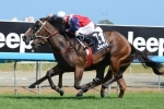 Real Surreal Wins Barrier Trial In Impressive Fashion