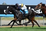 Saluter draws handy at barrier 4 in Eye Liner Stakes Saluter draws handy at barrier 4 in Eye Liner Stakes