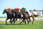 Pennino all the way winner in Gold Coast Guineas