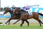 No Magic Millions Classic For Giulietta No Magic Millions Classic For Giulietta