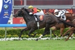 Spirit Of Boom Primed For Winterbottom Stakes