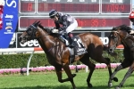 Quality field for Black Opal Stakes
