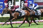 Madotti Takes Out Thrilling Magic Millions QTIS Open