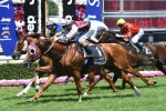 Stratum Star Too Classy In Magic Millions Trophy