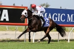 Lloyd to push forward on Perplexity in Caloundra Cup Lloyd to push forward on Perplexity in Caloundra Cup