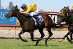 Bohemian Lily On Queensland Oaks Path Following Gold Coast Bracelet Win