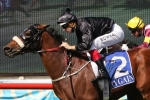 Epingle To Brisbane Cup After Chairman’s Handicap Victory