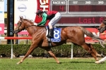 I’ve Got The Looks Clear Ramornie Handicap Favourite I’ve Got The Looks Clear Ramornie Handicap Favourite