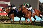 2015 Hollindale Stakes Results: Leebaz Returns To Winning Form 2015 Hollindale Stakes Results: Leebaz Returns To Winning Form