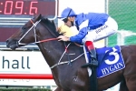 Mick Dittman Plate Likely For Nostradamus Mick Dittman Plate Likely For Nostradamus