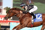 Capacity 2015 Doomben 10,000 Field Released Capacity 2015 Doomben 10,000 Field Released