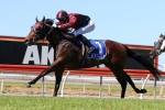 Heavily backed Worthy Cause salutes in Gunsynd Classic