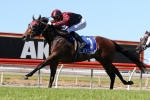Queensland Derby now on the agenda for Worthy Cause Queensland Derby now on the agenda for Worthy Cause