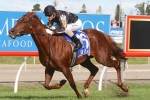 Srikandi Strolls Home to Win 2014 Silk Stocking Srikandi Strolls Home to Win 2014 Silk Stocking