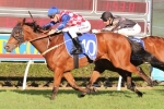 Streama Takes Out 2014 Hollindale Stakes