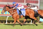 Streama Remains A Narrow Favourite In Doomben Cup Betting Streama Remains A Narrow Favourite In Doomben Cup Betting