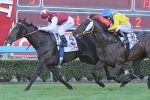 Academus turns tables on Sizzling in Gold Coast Guineas